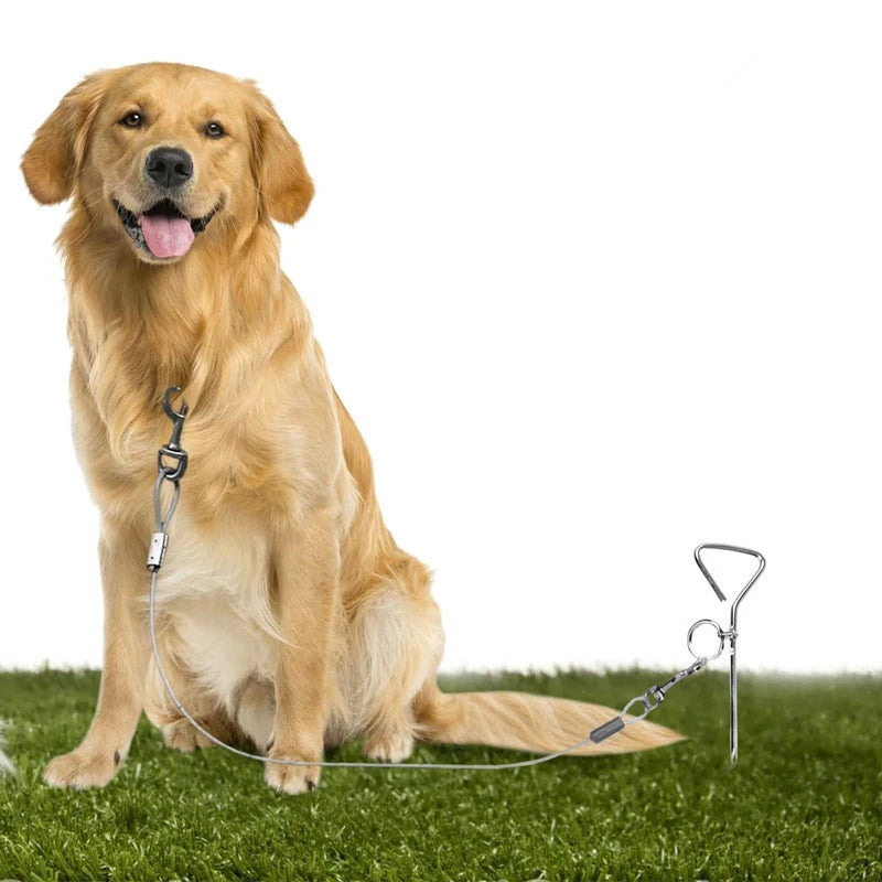 Stainless Steel Dog Tie-Out Stake – Ground Anchor Spike with Steel Cable Leash