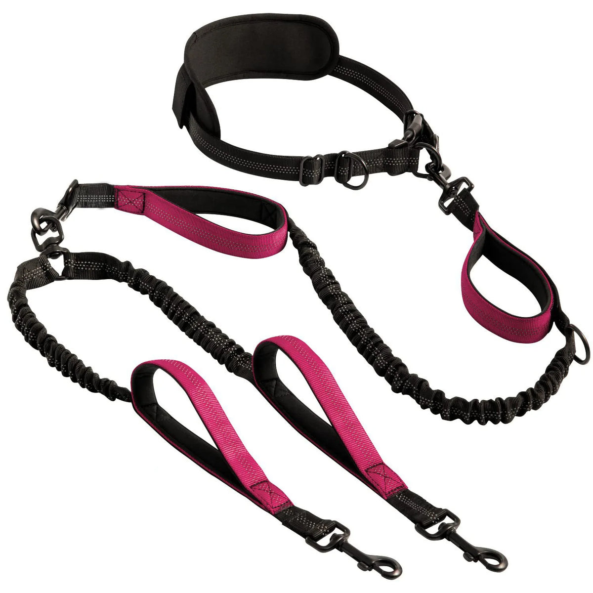 Shock-Absorbing Double Dog Leash – Elastic Buffer Hands-Free Running Lead for Small & Large Dogs