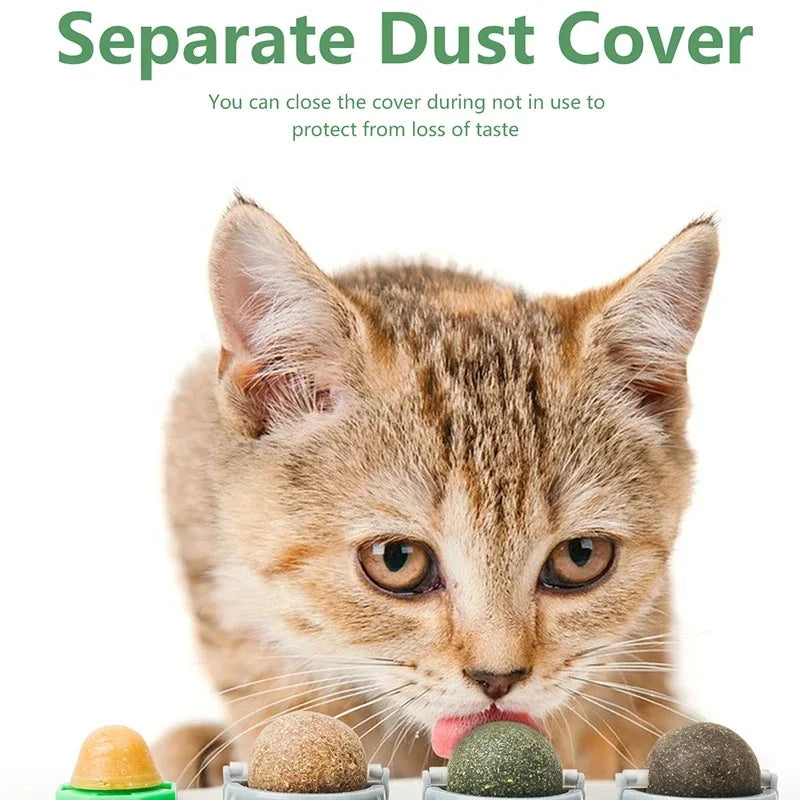 4-in-1 Catnip & Silver Vine Ball, Rotating Dental Chew Toy