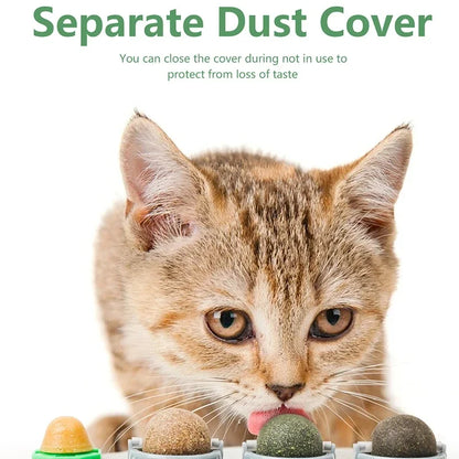 4-in-1 Catnip & Silver Vine Ball, Rotating Dental Chew Toy