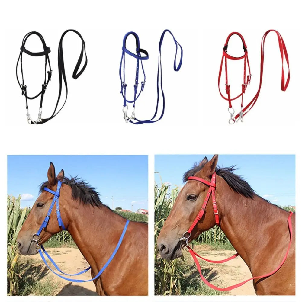 Thickened Horse Halter – Adjustable Comfortable Training Headcollar (3 Colors)