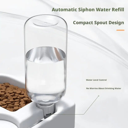 2-in-1 Automatic Pet Water Fountain & Double Bowl – Cat & Small Dog Feeding Station