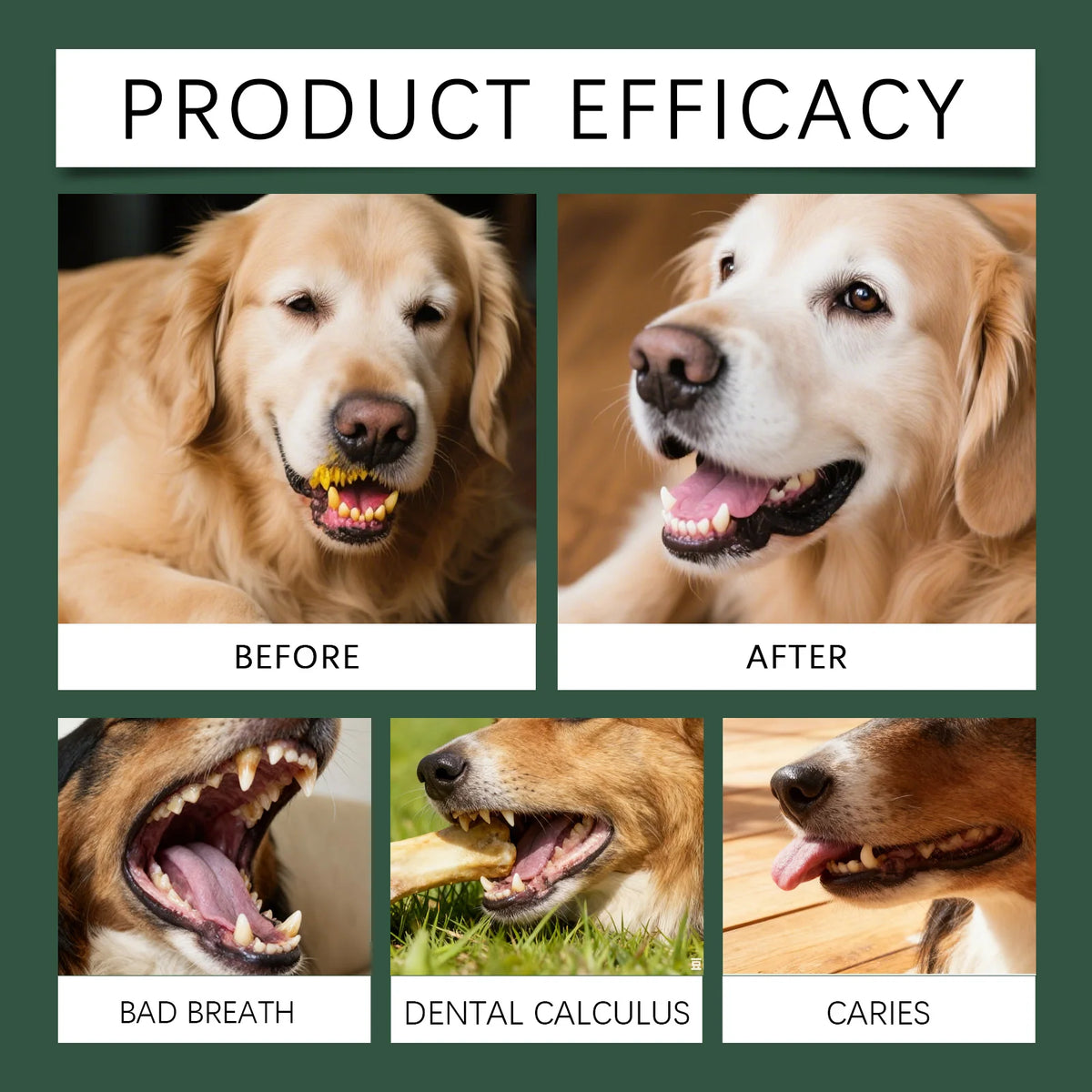 Natural Pet Dental Care Powder – Dog & Cat Breath Freshener, Plaque & Tartar Control, Enzyme Teeth Cleaning & Healthy Gum Support