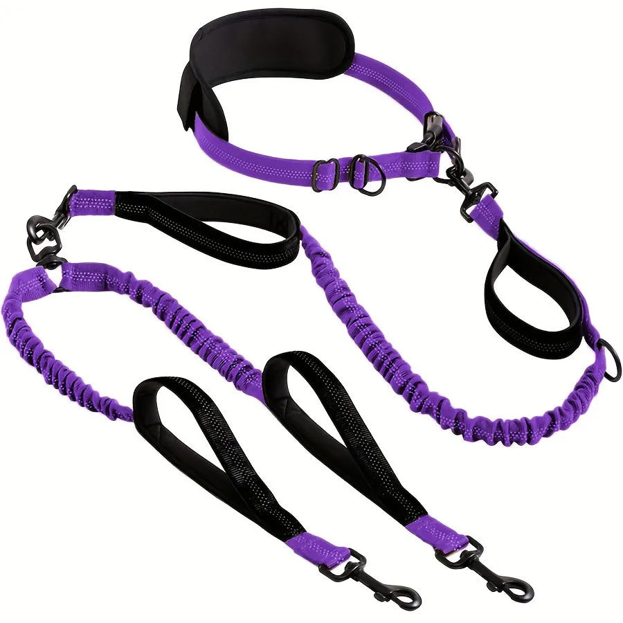 Shock-Absorbing Double Dog Leash – Elastic Buffer Hands-Free Running Lead for Small & Large Dogs