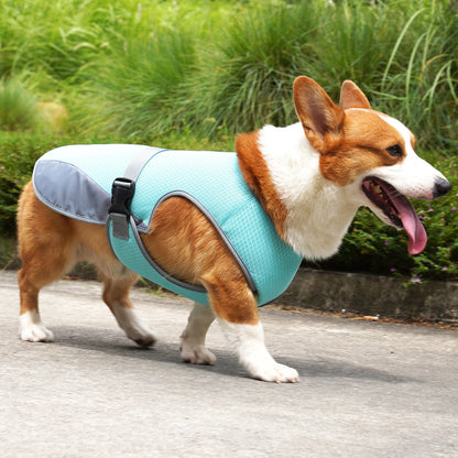 Cooling Vest for Dogs – Breathable Lightweight Adjustable Summer Jacket with Reflective Strips