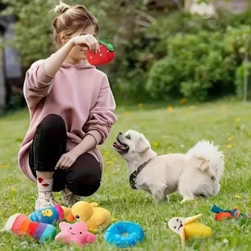 A 7-piece puppy toy set featuring adorable plush fruit and vegetable designs. These soft, chewable toys are perfect for playtime, interactive activities, and keeping your puppy entertained.