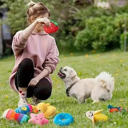 A 7-piece puppy toy set featuring adorable plush fruit and vegetable designs. These soft, chewable toys are perfect for playtime, interactive activities, and keeping your puppy entertained.