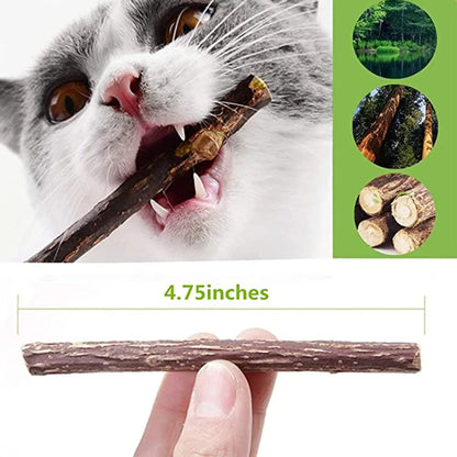Natural Silvervine Cat Chew Sticks – Dental Cleaning Molar Toys for Cats & Kittens