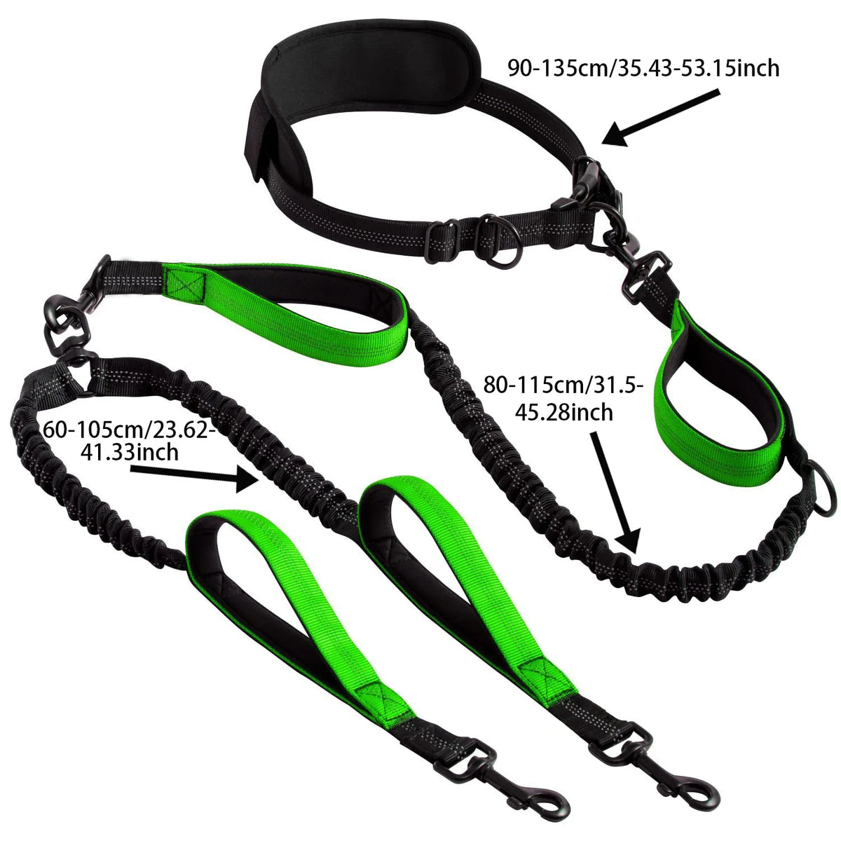 Shock-Absorbing Double Dog Leash – Elastic Buffer Hands-Free Running Lead for Small & Large Dogs