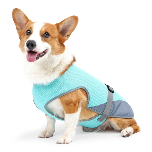 Cooling Vest for Dogs – Breathable Lightweight Adjustable Summer Jacket with Reflective Strips