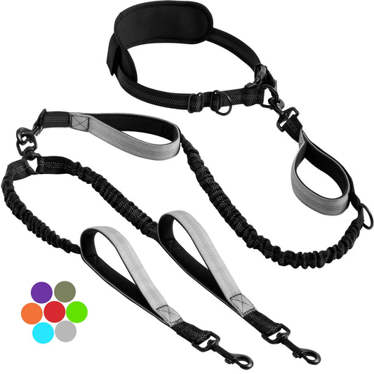 Shock-Absorbing Double Dog Leash – Elastic Buffer Hands-Free Running Lead for Small & Large Dogs
