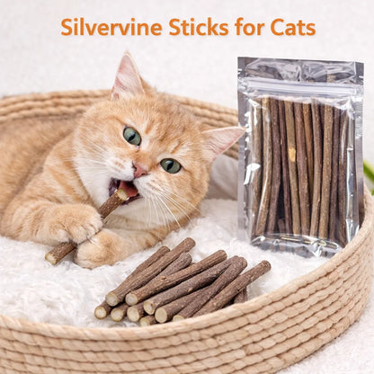 Natural Silvervine Cat Chew Sticks – Dental Cleaning Molar Toys for Cats & Kittens