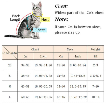 Pet Harness & Leash Set for Cats & Small Dogs, Breathable Durable Walking Harness