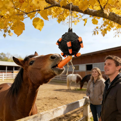 ChatGPT said:
Horse Carrot Feeding Ball & Hay Feeder – Hanging Treat Dispenser for Horses, Goats & Sheep, Stress Relief & Foraging Toy





Odoo Inc
Run your business o