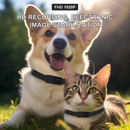 1080P Wireless Pet Collar Camera, HD Video Recorder for Dogs & Cats, No WiFi