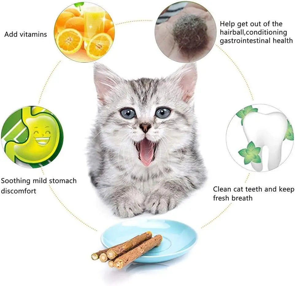 Natural Silvervine Cat Chew Sticks – Dental Cleaning Molar Toys for Cats & Kittens