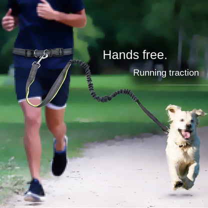 Hands-Free Dog Leash – Adjustable Waist Belt for Walking, Running & Jogging