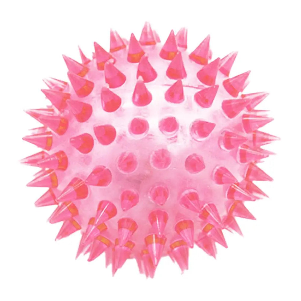 TPR Squeaky Ball Dog & Cat Toy – Spiky Textured Ball for Teeth Cleaning & Training
