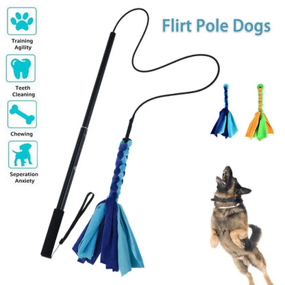 Dog Flirt Pole Toy – Interactive Chase & Training Teaser Wand with Rope Lure
