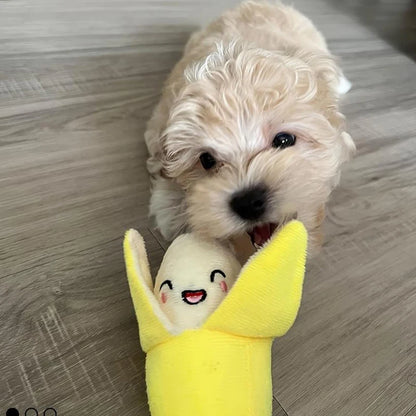 A 7-piece puppy toy set featuring adorable plush fruit and vegetable designs. These soft, chewable toys are perfect for playtime, interactive activities, and keeping your puppy entertained.