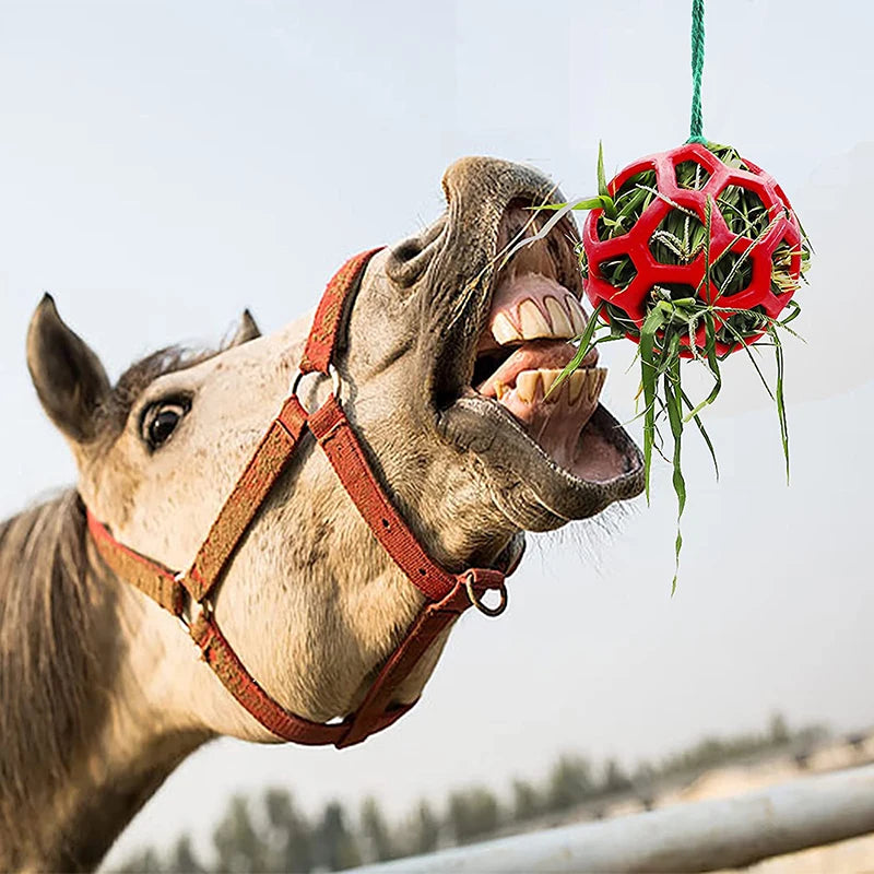 Horse Treat Ball & Hanging Hay Feeder, Foraging Toy for Stress Relief