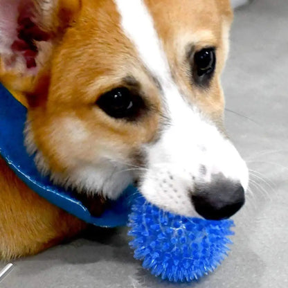 TPR Squeaky Ball Dog & Cat Toy – Spiky Textured Ball for Teeth Cleaning & Training