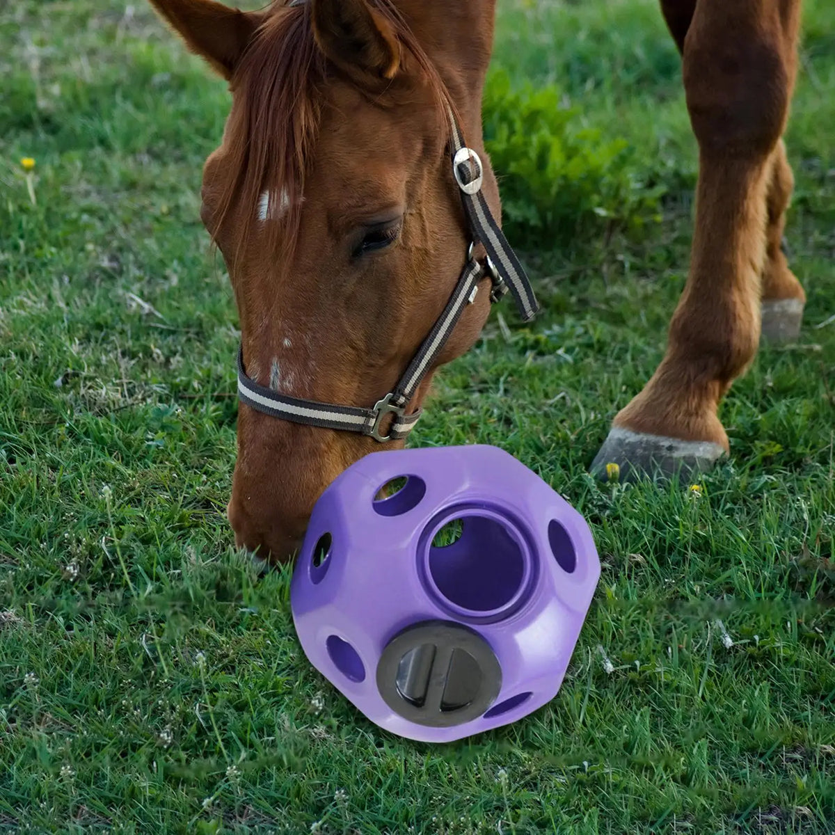 Fun 15.7" Horse Treat Ball – Horse Toy, Feed Ball & Multipurpose Feeding Toy