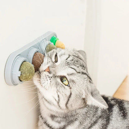 4-in-1 Catnip & Silver Vine Ball, Rotating Dental Chew Toy