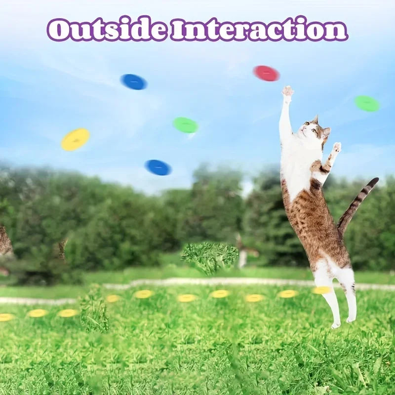 Pet Toy Launcher with Colorful Flying Discs – Interactive Chase Toy for Dogs, Cats & Kittens (Indoor & Outdoor)
