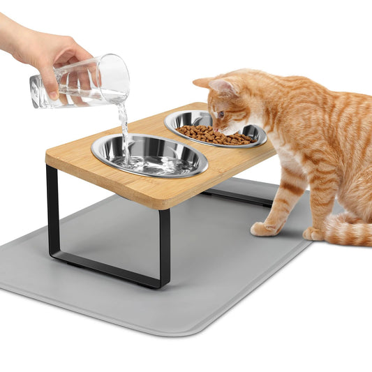 Elevated Cat Bowls with Food Mat – 15° Tilted Stand, Raised Stainless Steel Double Bowl Feeder for Cats