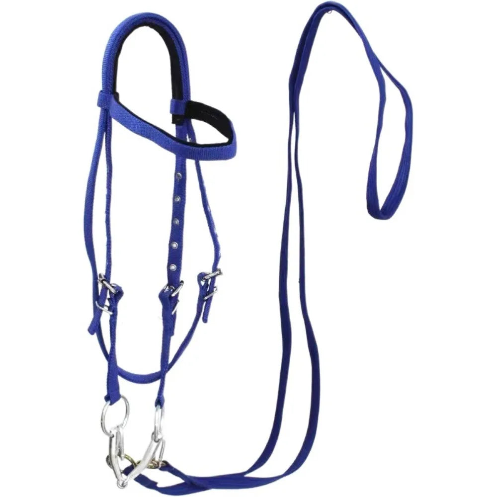 Thickened Horse Halter – Adjustable Comfortable Training Headcollar (3 Colors)