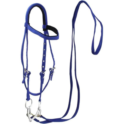 Thickened Horse Halter – Adjustable Comfortable Training Headcollar (3 Colors)