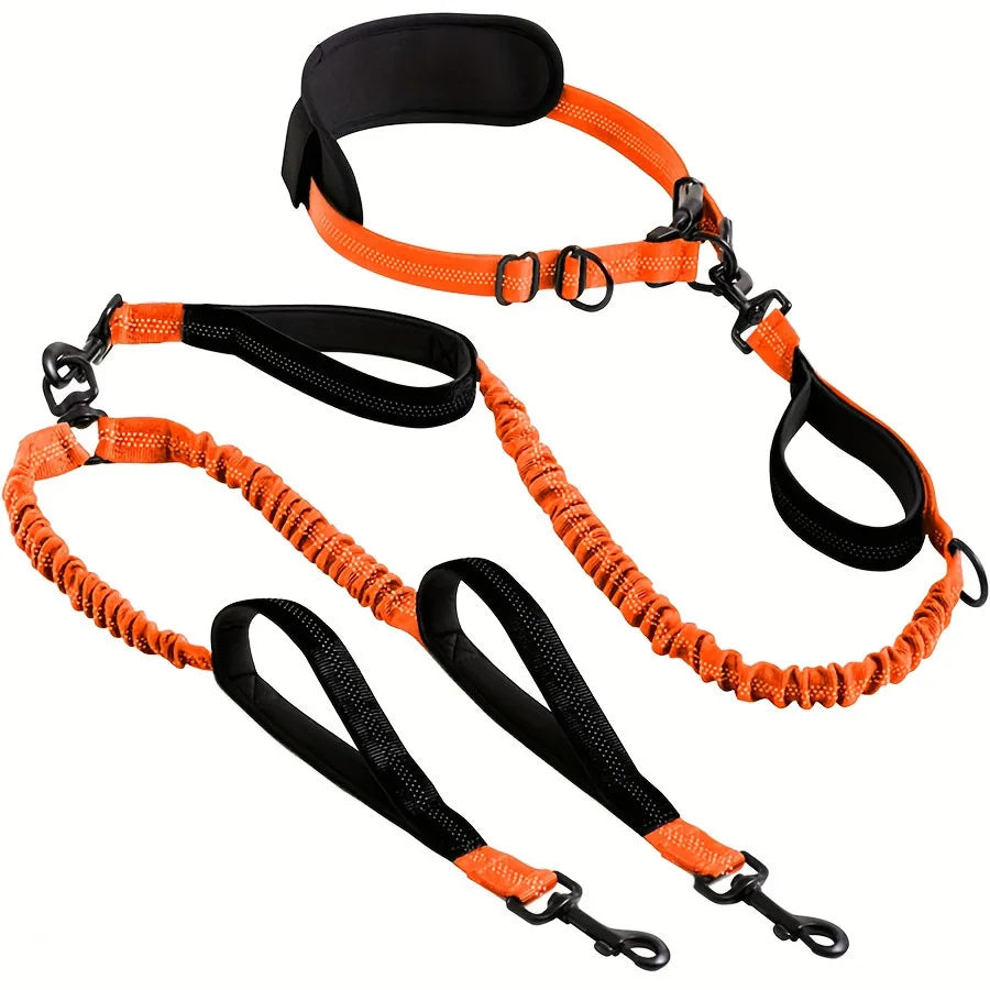 Shock-Absorbing Double Dog Leash – Elastic Buffer Hands-Free Running Lead for Small & Large Dogs