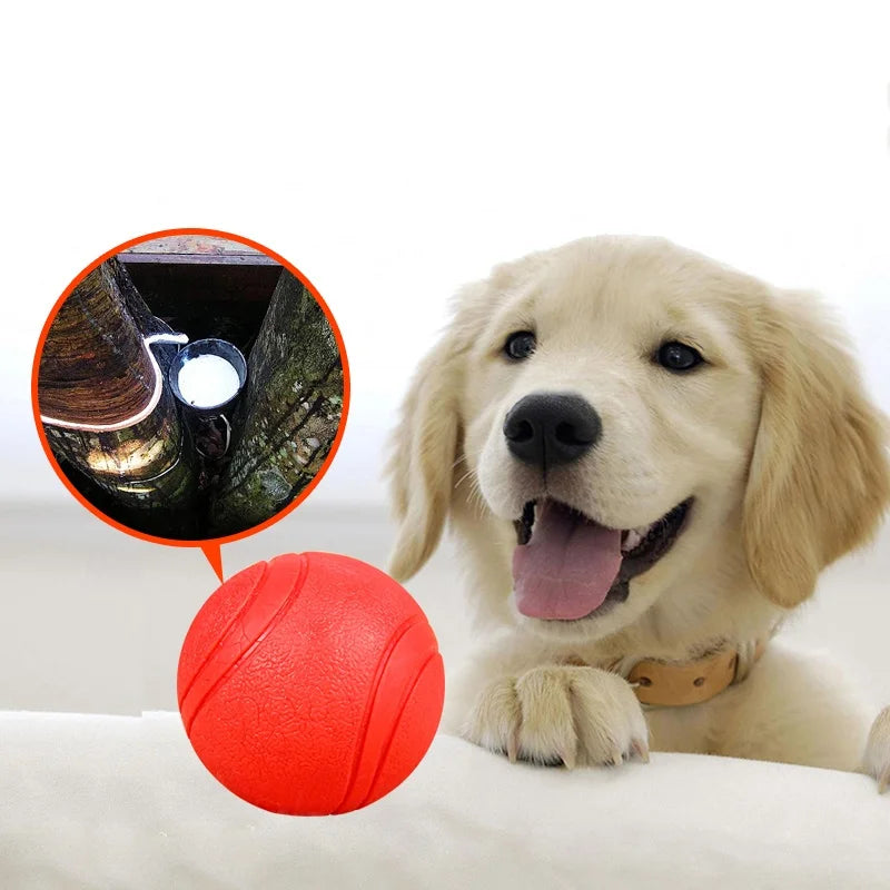 Solid Rubber Bouncy Ball Dog Toy – Durable Chew Ball for Outdoor Fetch & Retrieve Training