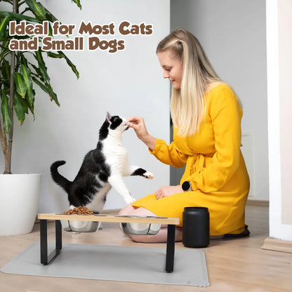Elevated Cat Bowls with Food Mat – 15° Tilted Stand, Raised Stainless Steel Double Bowl Feeder for Cats