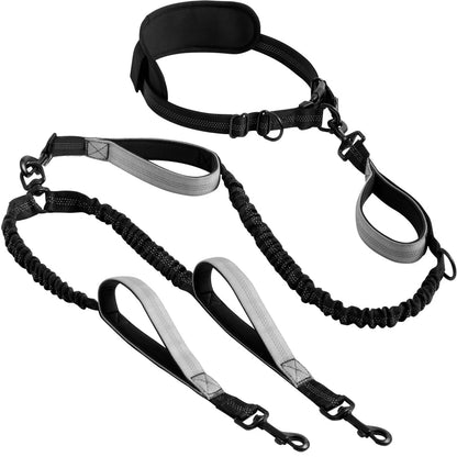 Shock-Absorbing Double Dog Leash – Elastic Buffer Hands-Free Running Lead for Small & Large Dogs