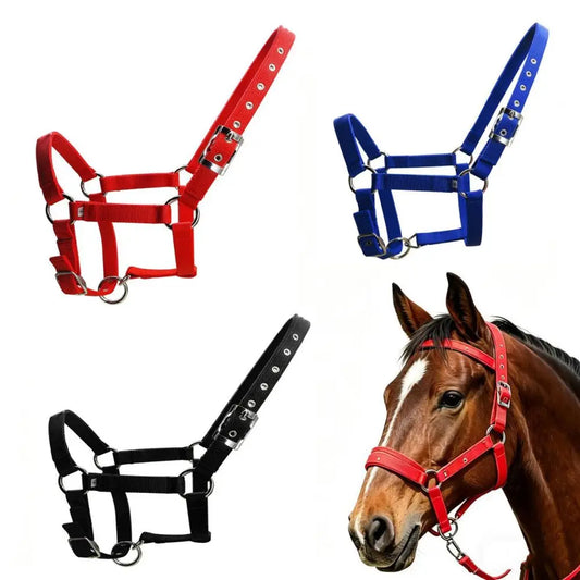 Adjustable Horse Halter – 25mm PP Webbing Headcollar with Metal Buckles (3 Colors)
