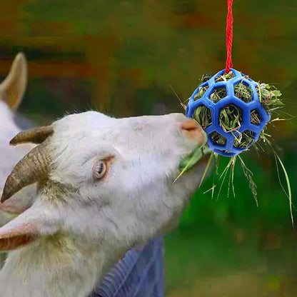 Horse Treat Ball & Hanging Hay Feeder, Foraging Toy for Stress Relief